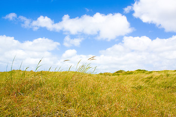 Image showing Dunes