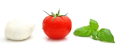 Image showing Tomato mozzarella