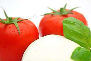 Image showing Tomato mozzarella