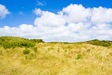 Image showing Dunes