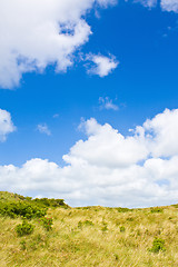 Image showing Dunes