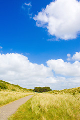 Image showing Dunes