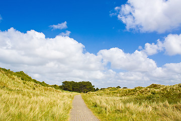 Image showing Dunes