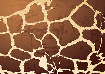 Image showing giraffe pattern skin