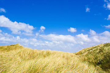 Image showing Dunes