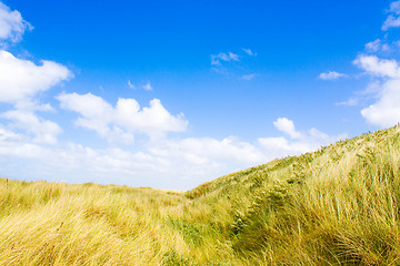 Image showing Dunes