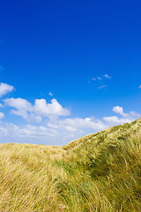 Image showing Dunes