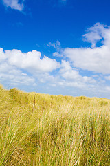 Image showing Dunes