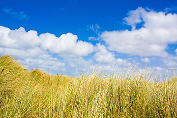 Image showing Dunes