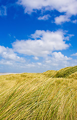 Image showing Dunes