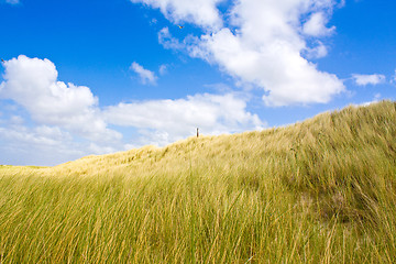 Image showing Dunes