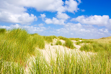 Image showing Dunes