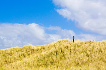 Image showing Dunes