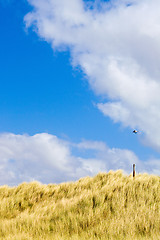 Image showing Dunes