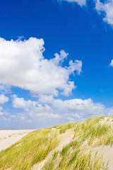 Image showing Dunes
