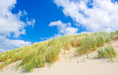 Image showing Beach