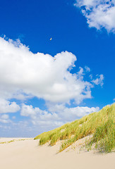 Image showing Beach