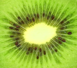 Image showing Kiwi,