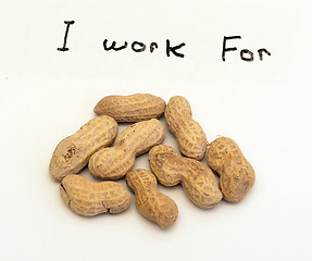 Image showing Working for Peanuts