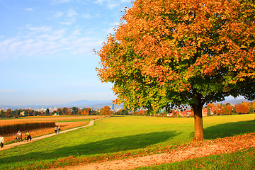 Image showing Autumn