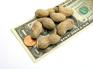 Image showing Peanut Money