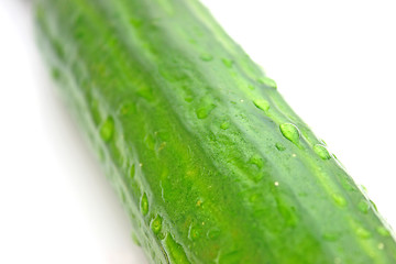 Image showing Cucumber