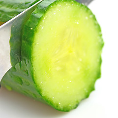 Image showing Cucumber