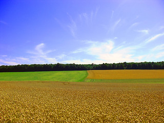 Image showing Field