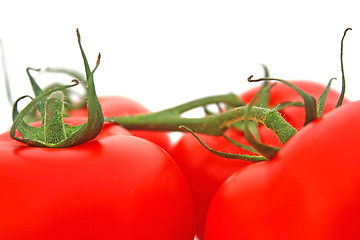 Image showing Tomatos