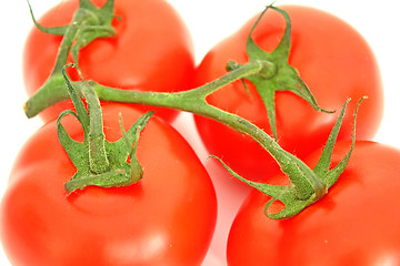 Image showing Tomatos