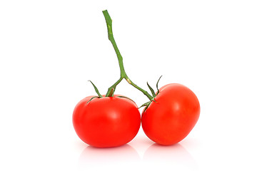 Image showing Tomatos