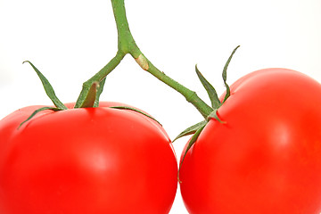 Image showing Tomatos