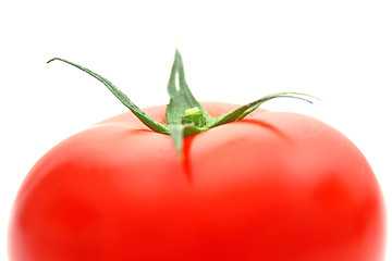 Image showing Tomatos