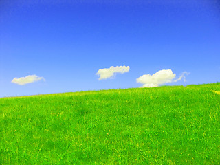 Image showing summer