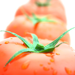 Image showing Tomatos