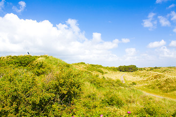 Image showing Dunes