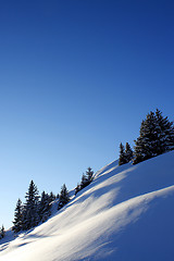 Image showing Winter