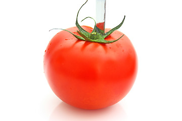 Image showing Tomatos