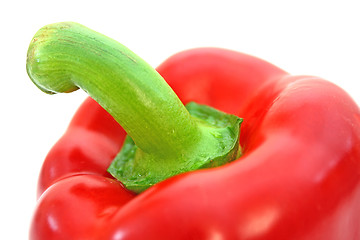 Image showing Paprika