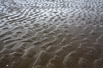 Image showing Beach