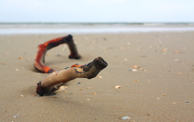 Image showing Beach