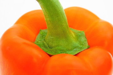 Image showing Paprika