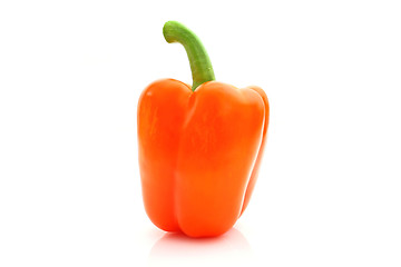 Image showing Paprika