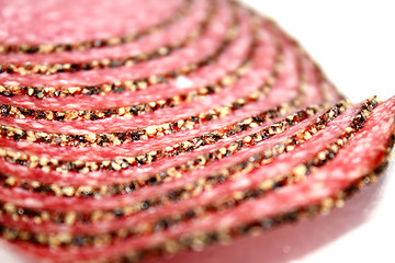 Image showing Salami