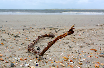 Image showing Beach