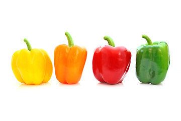 Image showing Paprika