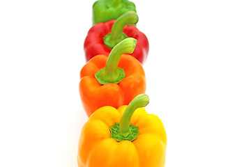 Image showing Paprika