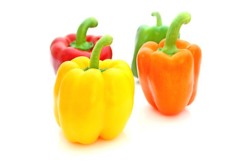 Image showing Paprika