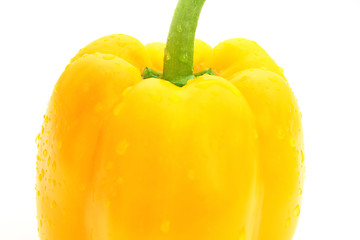 Image showing Paprika