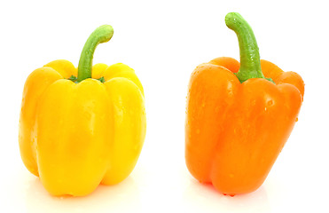 Image showing Paprika